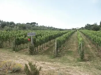 Le Piazzole Курортный комплекс Флоренция